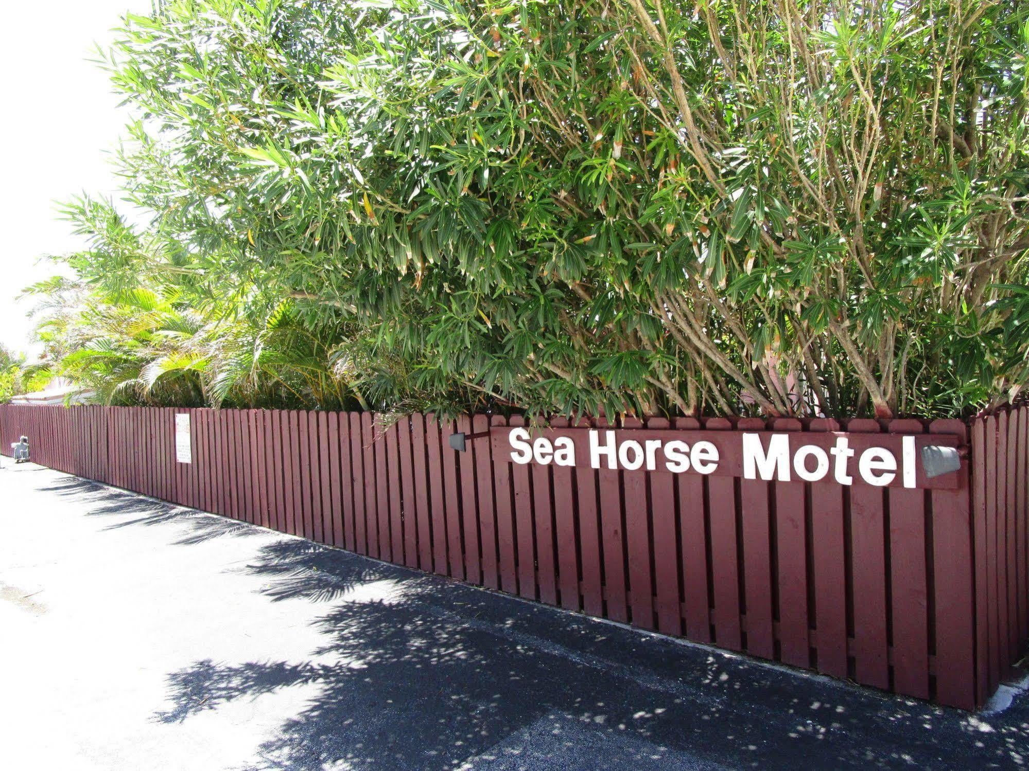 Seahorse Guesthouse Pompano Beach Zewnętrze zdjęcie